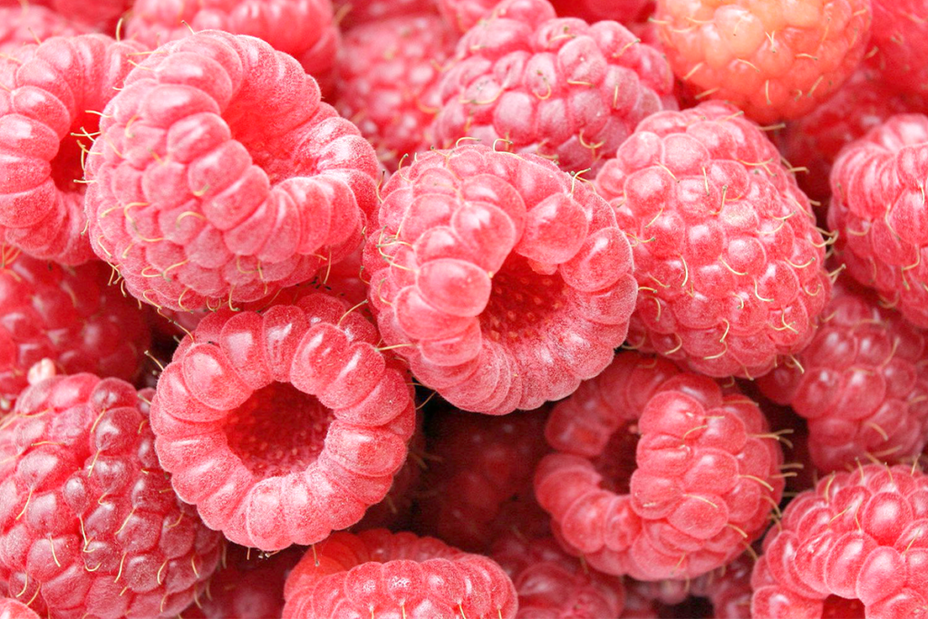  berries