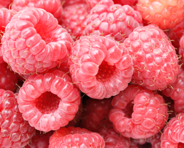 How to live longer: Raspberries may hold anti-cancer properties to boost longevity