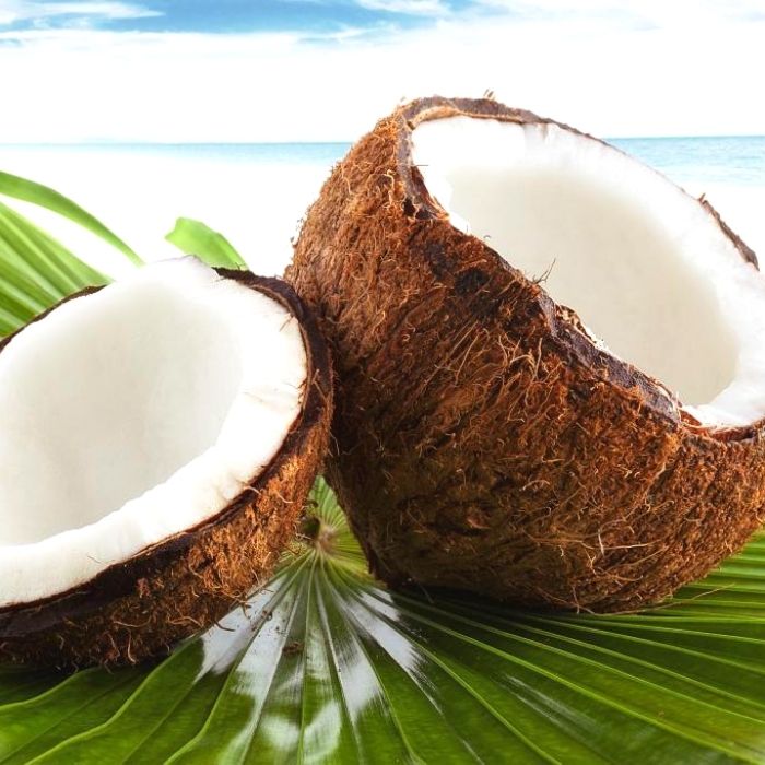 Coconut