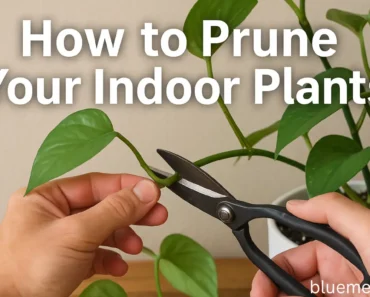 The Gentle Art of Houseplant Pruning: A Guide for Plant Parents Who Care Too Much