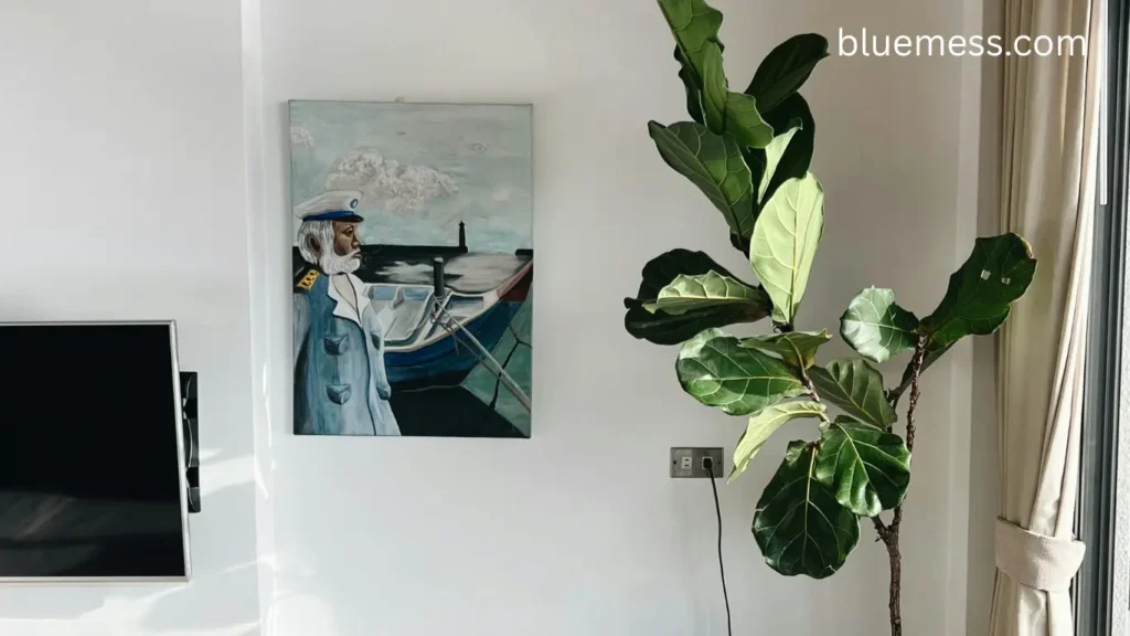 Best Low Light Plants for Apartments