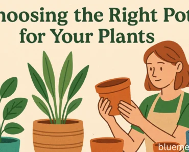 Choosing the Right Pots for Your Plants: Stop Killing Plants with Pretty Containers